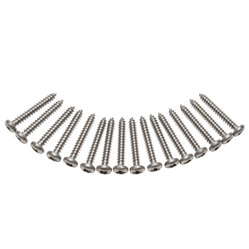 Land Rover Series/Defender/Perentie SS Light Lens Screws Kit