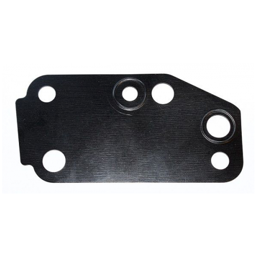 Land Rover Puma 2.4 Water Pump Gasket